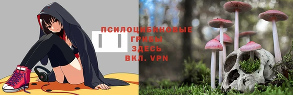 СК Алзамай