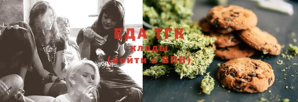 индика Абинск