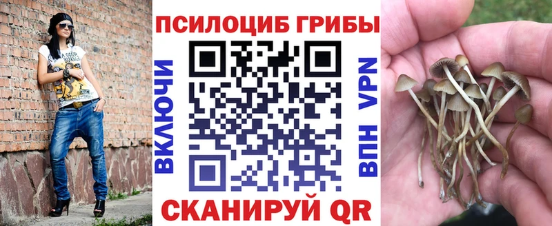 Псилоцибиновые грибы Psilocybine cubensis  hydra онион  Узловая 